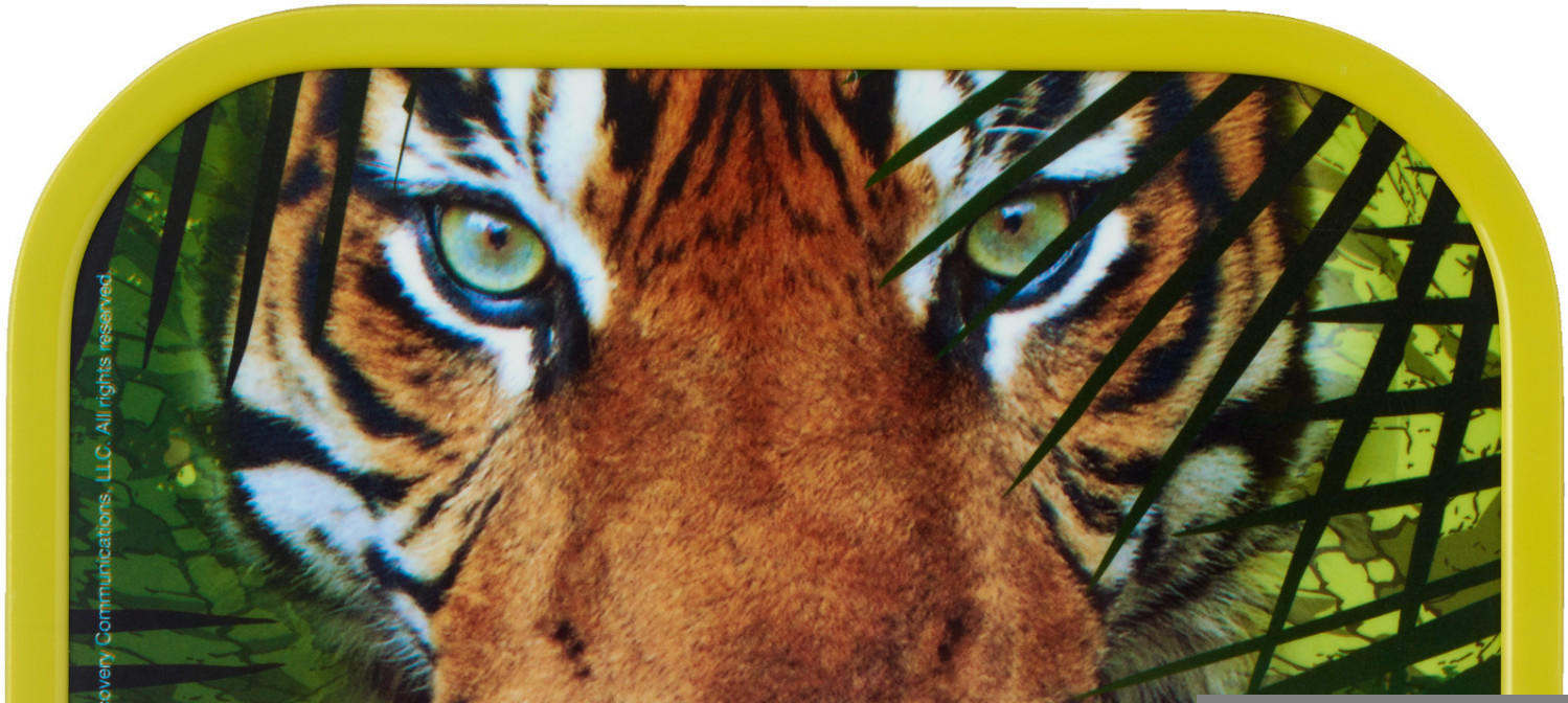 Rosti Mepal Campus Bento Snackbox Animal Planet Tiger Test TOP Angebote ab  9,94 € (November 2022)