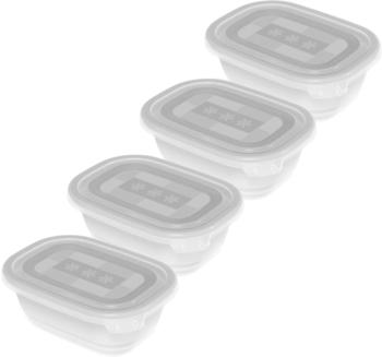 Rotho Freeze 4er-Gefrierdosen-Set (4 x 0,5 L)
