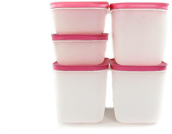 Tupperware Gefrier-Behälter 1,1L hoch (3x)+ 450ml pink-weiß (2x) Eis-Kristall + Spültuch