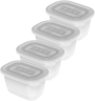 Rotho Freeze 4er-Gefrierdosen-Set (4 x 0,75 L)