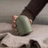 Steamery Pilo No. 2 Fabric Shaver sage