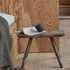 Steamery Pilo No. 2 Fabric Shaver sage