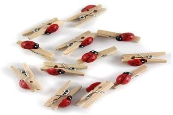 Glorex Marienkäfer Mini Wäscheklammer aus Holz Mehrfarbig 25mm 12 Stück (6 8605 228)