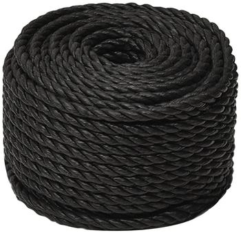vidaXL Arbeitsseil Schwarz 14 mm 25 m Polypropylen (153021)