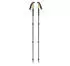Black Diamond Alpine Carbon Cork Trekking Poles (2019)