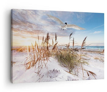 Arttor Möwe Meer Küste 70x50cm