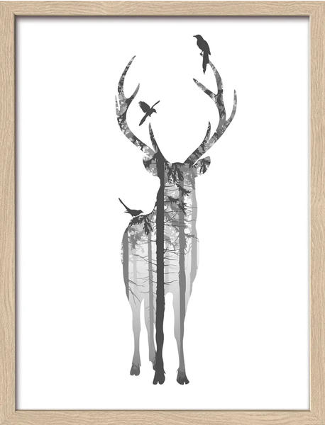 Pro-Art Deer With Birds 33x43cm