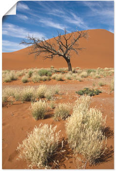 Art-Land Namib-Wüste 2 40x60cm