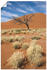 Art-Land Namib-Wüste 2 40x60cm