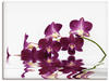 Artland Leinwandbild »Phalaenopsis Orchidee«, Blumen, (1 St.), auf Keilrahmen