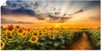 Art-Land Sonnenblumenfeld bei Sonnenuntergang 100x50cm