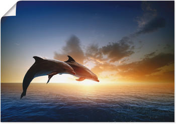 Art-Land Springendes Delfin-Paar bei schönem Sonnenuntergang 100x70cm