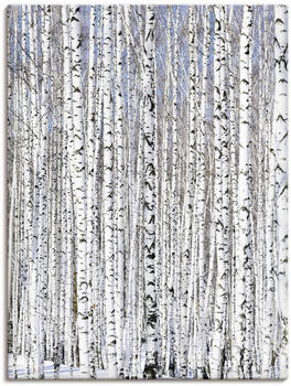 Art-Land Winterbirkenwald Wintergelassenheit 60x80cm