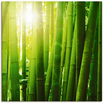 Art-Land Asiatischer Bambuswald im Morgenlicht 70x70cm