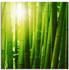 Art-Land Asiatischer Bambuswald im Morgenlicht 70x70cm