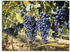 Art-Land Toskanische Weintrauben 120x90cm