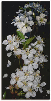 Art-Land Baumblüte 30x60cm