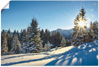 Art-Land Winterlandschaft mit Sonnenstern 120x80cm