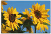 Art-Land Sonnenblumen 30x20cm