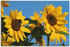 Art-Land Sonnenblumen 30x20cm