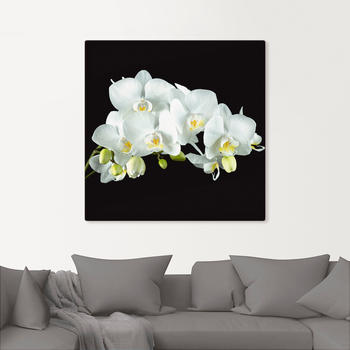 Art-Land Weiße Orchidee auf schwarzem Hintergrund 40x40cm