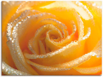 Art-Land Gelbe Rose Makro 60x45cm