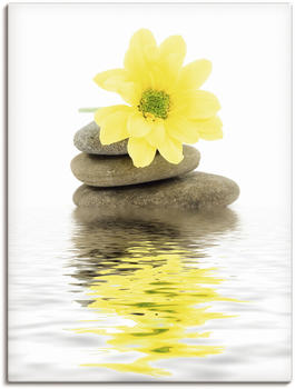 Art-Land Zen Spa Steine mit Blumen II 45x60cm