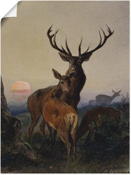 Art-Land Ein Hirsch und ein Reh bei Sonnenuntergang 1865 60x80cm