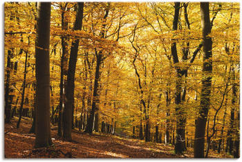 Art-Land Spaziergang im Herbstwald 120x80cm