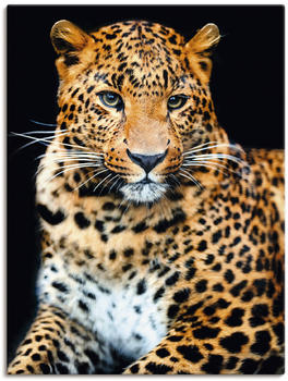 Art-Land Wütender wilder Leopard auf schwarzem Hintergrund 45x60cm