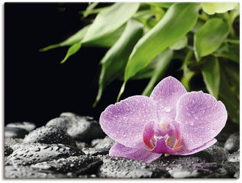 Art-Land Rosa Orchidee auf schwarzen Zen Steinen 80x60cm