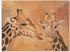 Art-Land Giraffen 60x45cm