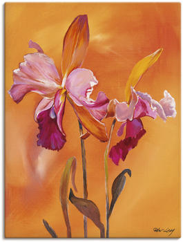 Art-Land Lilien-rosa 30x40cm