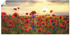 Art-Land Mohnblumen 100x50cm