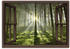 Art-Land Fensterblick Wald im Gegenlicht 70x50cm