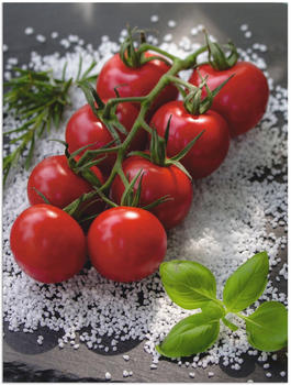 Art-Land Tomaten Rispe auf Salz an frischen Kräutern 30x40cm