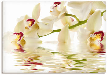 Art-Land Weiße Orchidee mit Wasserreflektion 70x50cm