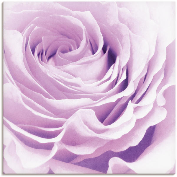 Art-Land Pastell Rose 100x100cm