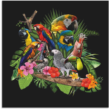 Art-Land Papageien Graupapagei Kakadu Dschungel 50x50cm