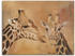 Art-Land Giraffen Leinwandbild 60x45cm