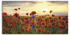 Art-Land Mohnblumen Leinwandbild 100x50cm
