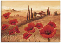Artland Wandbild "Mohnblumen in der Toskana" Europa 1 Stk. tlg. als Leinwandbild,