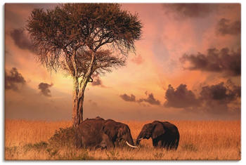 Art-Land Elefanten zum Abendessen 30x20cm