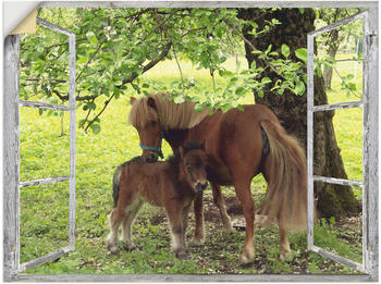 Art-Land Fensterblick Pony mit Kind 120x90cm