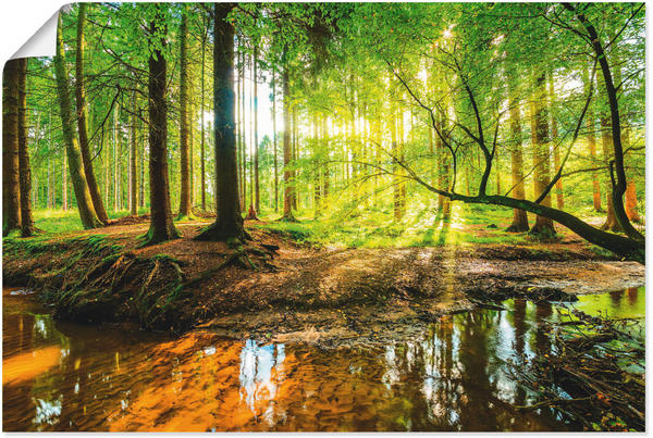 Art-Land Wald mit Bach 120x80cm