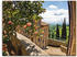 Art-Land Rosen auf einem Balkon in San Gimignano, mit Toskanalandschaft im Hintergrund 60x45cm