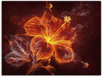 Art-Land Feuerblume 80x60cm
