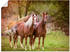 Art-Land Pferde in den Feldern I 120x90cm