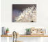 Art-Land Pusteblume Fantasie 80x60cm