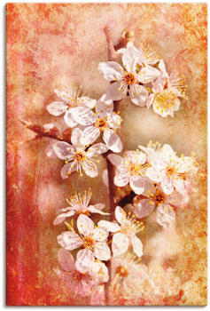 Art-Land Kirschblüten 60x90cm